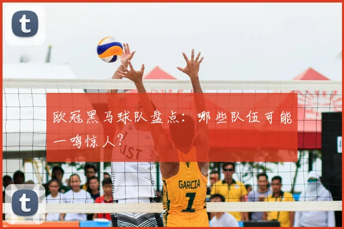 欧冠黑马球队盘点:哪些队伍可能一鸣惊人?